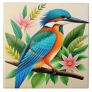 Buscar martín pescador azulejos Pájaro