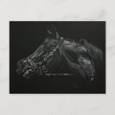 Buscar caballo árabe postales Animales