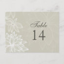 Buscar taz postales Invitados