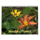 Buscar bosques calendarios Naturaleza