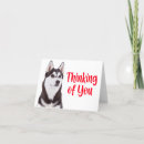 Buscar perro del husky siberiano tarjetas Cachorro