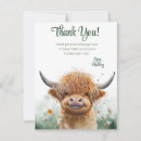 Buscar vacas lindas tarjetas Vaca de montaña