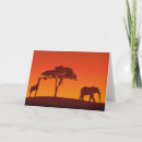 Buscar safari africano tarjetas General y unisex