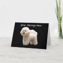 Buscar bichon tarjetas Perro