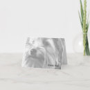 Buscar yorkshire terrier tarjetas Animal