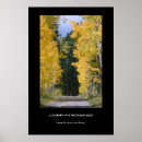 Buscar mil posters Naturaleza