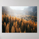 Buscar árbol amarillo posters Naturaleza