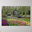 Buscar floristería posters Naturaleza