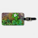Buscar al anon accesorios Canadá