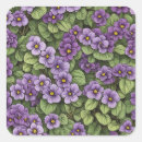 Buscar violetas africanas pegatinas Violeta africana