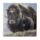 Buscar tundra azulejos Vida silvestre