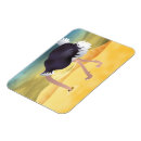 Buscar ostriches imanes Pájaro