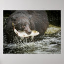 Buscar paulson posters Animal