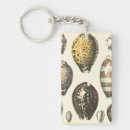 Buscar seashells llaveros Océano
