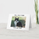 Buscar gato blanco y negro tarjetas Animal