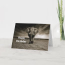 Buscar día del elefante tarjetas Foto