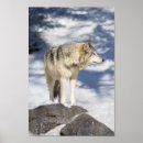 Buscar canino posters Piel