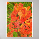 Buscar buganvillas posters Acuarela