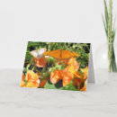 Buscar pavo real tarjetas Mariposa