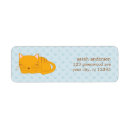 Buscar gato anaranjado Gatos