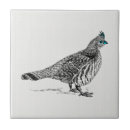 Buscar pájaros negros azulejos Animales