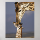 Buscar masai mara arte Bebé