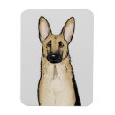 Buscar pastor imanes Gsd