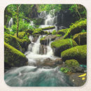 Buscar musgo posavasos Arbolado