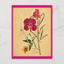 Buscar charles rennie mackintosh postales Rosa