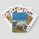 Buscar animales acuáticos barajas de cartas Playa