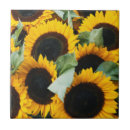 Buscar venta azulejos Superstock
