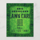 Buscar césped flyers Paisajista