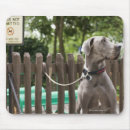 Buscar great dane alfombrillas de raton Al aire libre