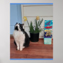 Buscar gato amarillo posters Para niños
