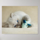 Buscar blue cat arte Kitten