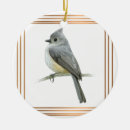 Buscar títulos adornos Ilustracion