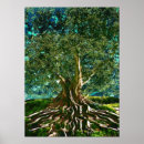 Buscar kabbalah arte Vida