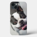 Buscar perritos ipad fundas Animales