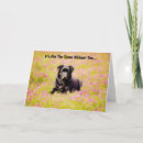 Buscar perro triste tarjetas Adorable