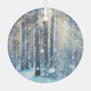 Buscar frosty adornos Invierno