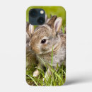Buscar conejo lindo iphone fundas Adorable