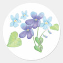 Buscar violeta salvaje pegatinas Primavera
