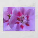 Buscar flores abstractas postales Rosa