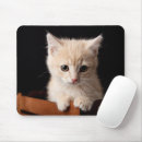 Buscar kitten alfombrillas de raton Gato doméstico