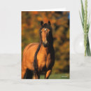 Buscar manga larga tarjetas Caballo