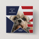 Buscar candidate chapas Triunfar