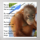 Buscar preferido posters Animal