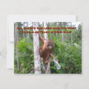 Buscar contaminación tarjetas Medio ambiente