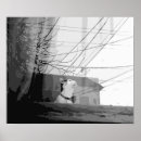 Buscar ventana blanca posters Blanco y negro