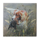 Buscar bretón azulejos Brittany wiegref